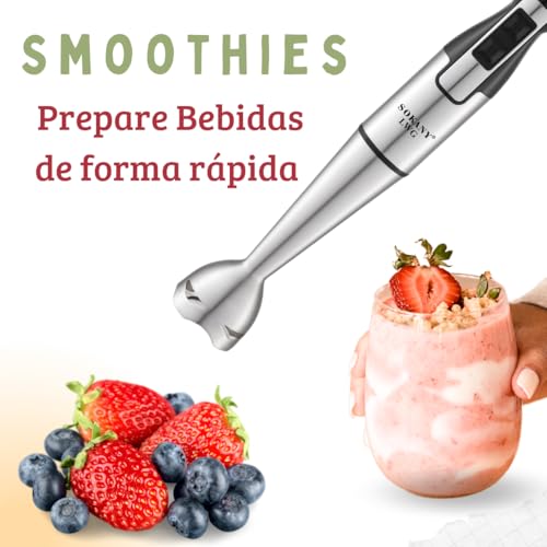 Mixer de Mão 1000W Vertical Turbo Whey Bebidas Sopas 110/220V (Prata 220V)