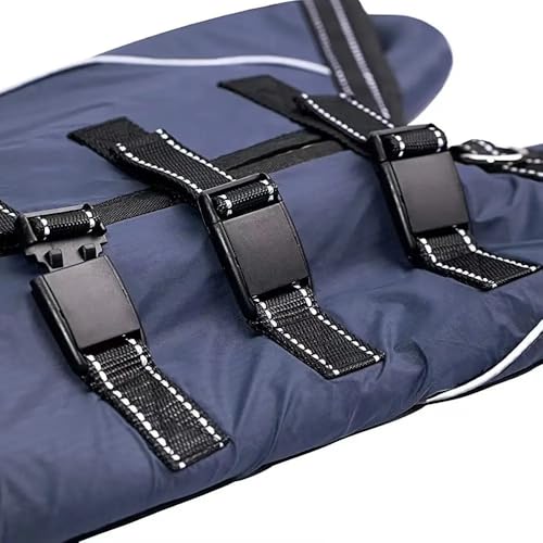Suporte para cães idosos e dificuldade de locomoção, suporte Mobilidade para Cães, Corpo Inteiro com