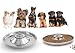 King International Stainless Steel Dog Bowl 2 Puppy Litter Food Feeding Weaning|SilverStainless Dog Bowl Dish| Set of 2 Pieces | 29 cm - for Small/Medium/Large Dogs, Pets Feeder Bowl and Water Bowl