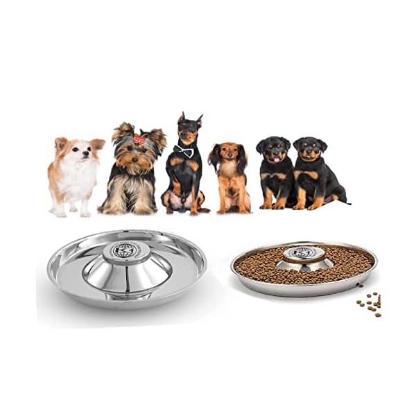 King International Stainless Steel 2 Puppy Bowls,Puppy Food Bowl,Puppy Bowls for Small Dogs,11.4”,Puppy Bowl,Puppy Supplies,Puppy Feeder,Puppy Feeding Bowls for Litters King International Stainless Steel 2 Puppy Bowls,Puppy Food Bowl,Puppy Bowls for Small Dogs,11.4”,Puppy Bowl,Puppy Supplies,Puppy Feeder,Puppy Feeding Bowls for Litters