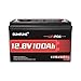 12V 100Ah LiFePO4 Lithium Battery,1280Wh Group 31 Rechargeable Lithium Iron Phosphate Battery 100A BMS 6000+ Cycles,Ideal For RV,Solar Power,Home Energy Storage