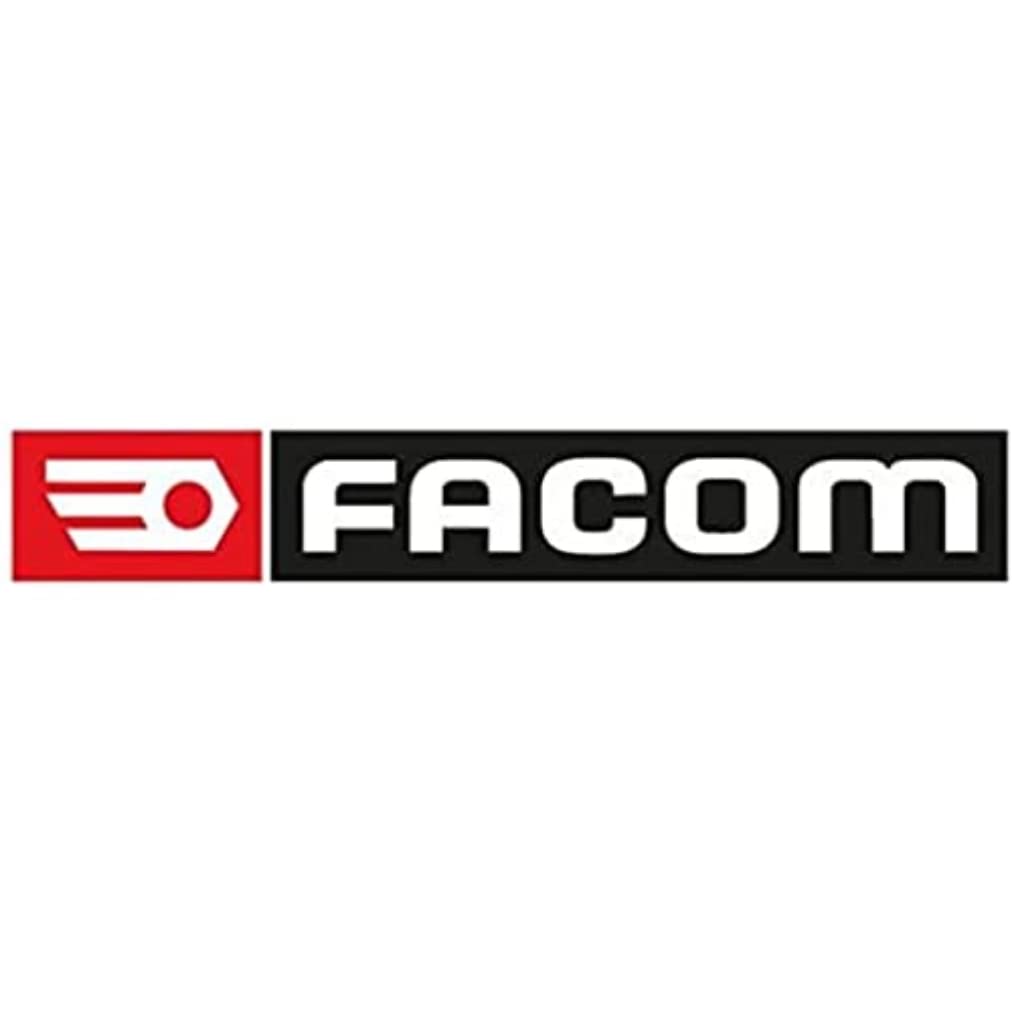 FACOM 506.RN Ensemble mâchoires pour Pince étau N°506, Argent