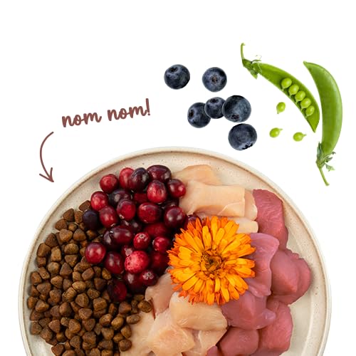 Sanabelle Life Indoor mit Perlhuhn & Preiselbeeren 8 kg