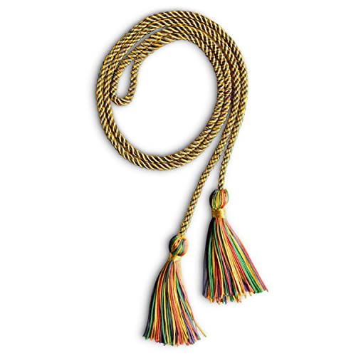 Image of Endea Graduation Single Honor Cord Two-Color (Rainbow)