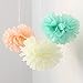 Fonder Mols 24pcs Large Sizes 8'' 10'' 12'' 14'' Ivory Peach Mint Party Tissue Pom Poms Flowers Decorations for Weddings, Birthday, Bridal, Baby Showers Nursery Wall Decor
