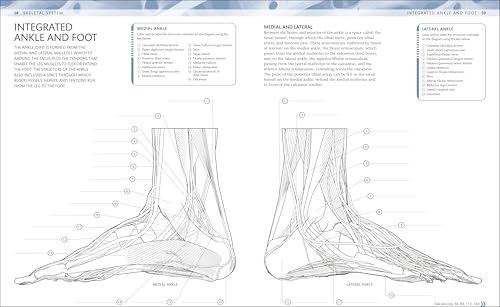 The Human Body Coloring Book: The Ultimate Anatomy Study Guide, Second Edition (DK Human Body Guides) - Image 4