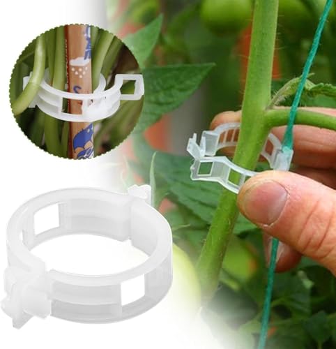 100 Stück weiße Pflanzenstütz-Clips, Pflanzenbefestigungs-Clips, Tomaten-Clips, Pflanzenclips für Kletterpflanzen, Gartenclips, Pflanzenstütz-Clips, Pflanzenreben-Befestigungsclip (ZS335)