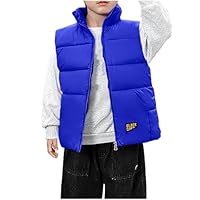 Girls Gilets Sleeveless Down Coats Riding Horse Jackets, Kids Boys Zipper Longline Body Warmers Winter Warm Lightweight Padded Waistcoat Winter Vest Outwear School 11 Years Blue