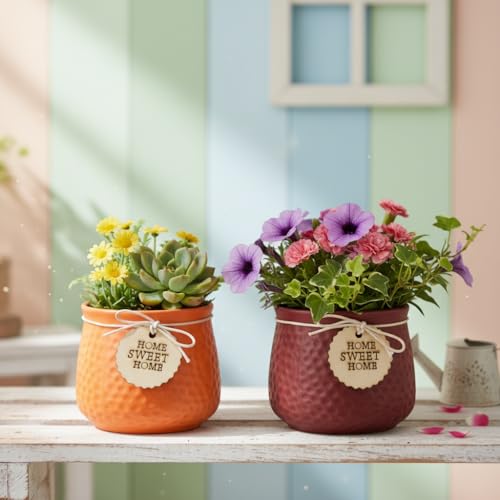 Image of Xtore Charming Textured Ceramic Planter Set with Wooden Tag Accent | Rustic Indoor Plant Pots for Desk, Shelf & Home Decor (Pack of 2, Planter only)