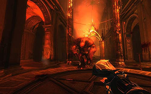 Painkiller Resurrection import anglais pour joueur PC nostalgique de FPS