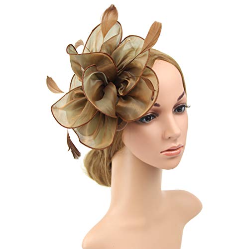 Image of DRESHOW Fascinators Hat Tea Party Headwear Ribbons Feathers on a Headband and a Clip for Women