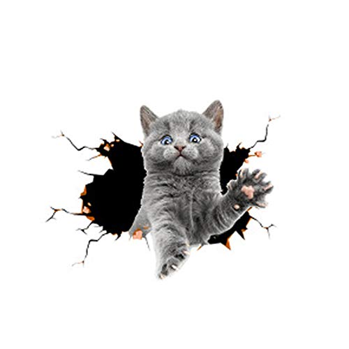 JunyueLiang �J�[ �E�H�[���X�e�b�J�[ �X�e�b�J�[ ���� �L �� pvc �ǎ� �V�[�� ���� �C���e���A �����V�[�� �ėp �ϋv�� ����� ������� ���� �X�[�c�P�[�X �p�\�R�� �� �J�[�X�e�b�J�[ �J�[�p�i ���D���ȏꏊ�� (�LD-1)