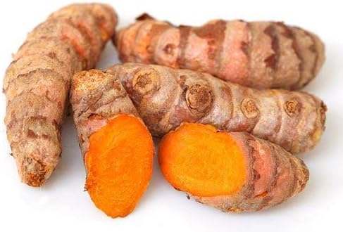 Earth Best 100% Natural Wild Turmeric Powder Amba Haldi/Jungli Haldi (Manjal)_Pack of 100g