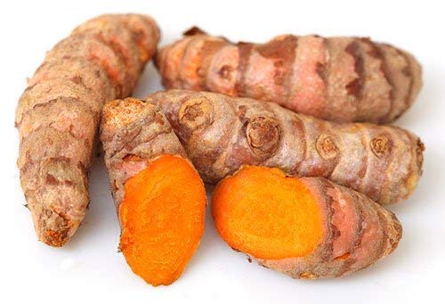 PKD Earth Best 100% Natural Wild Turmeric Powder Amba Haldi/Jungli Haldi (Manjal)_Pack of 100g