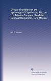 Effects of wildfire on the hydrology of Capulin and Rito de Los Frijoles Canyons, Bandelier National Monument, New Mexico