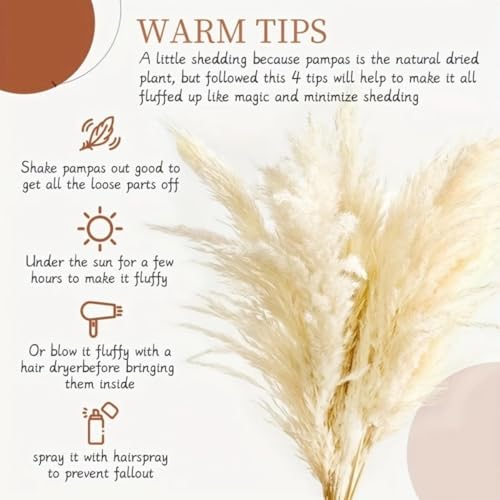 Pampas Grass ramo decorativo seco 45-50cm 5 piezas miniatura 5