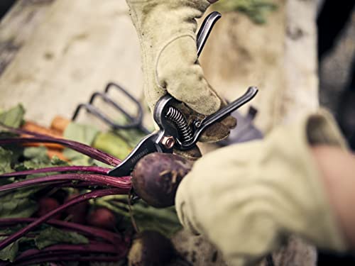 Barebones | Japanese Pruner - Old World Japanese Design, Durable Steel Construction #TOP7