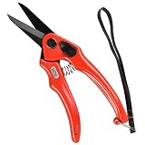 Burgon and Ball Footrot Shears