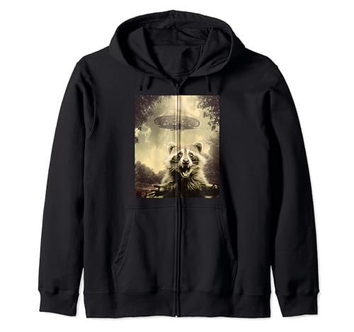 Raccoon UFO Alien Weirdcore Obra de arte estética Sudadera con Capucha