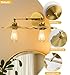 Evkcevla Vintage Metal Double Wall Light Fixture, Double Head Gold Wall Sconce with Decorative Petal lampshade, Industrial Style Bathroom Vanity Wall Sconce, Suitable for Bedroom, Hallway, Bathroom