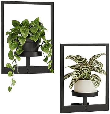 Bamworld Wandbehang Pflanzgefäße für Zimmerpflanzen 2 Set Wand Blumenständer Moderner Pflanzenständer mit Metallrahmen Blumentopfhalter zur Wandmontage Deko Pflanzenhalter für Wohn