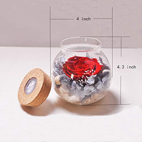 Forever Blue Rose, Preserved Eternal Real Flower Present With Led Mood Light, Gift For Birthday, Anniversary, Valentine's Day, Christmas, Thanksgiving Day #TOP5