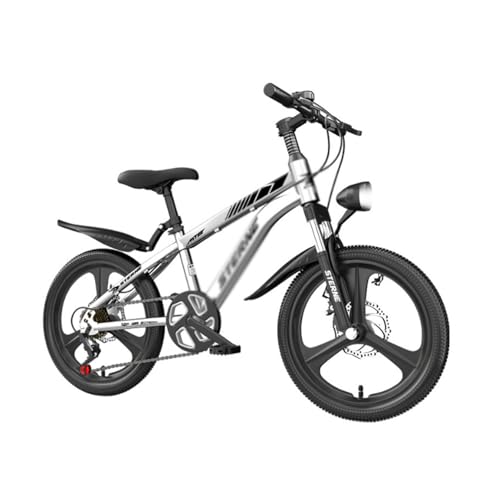 Bicicletas Estáticas Plegable Barata con Respaldo Marca VLLTWLPOV