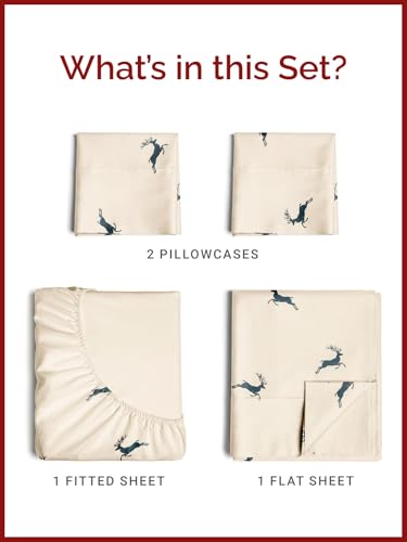 Queen Christmas Reindeer Sheet Set - Holiday Xmas Pattern Bedding Set - Deep Pockets - Snug Fit - 4 Piece - Wrinkle Free & Easy Care - Cozy Festive Winter - Holiday Sheets for Women, Men, Kids & Teens