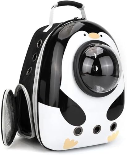 ConutooLL[obO LbN LL[ bN FD JvZ y ^p hCu LsO s (yM)