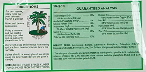 Jobes Palm Fert Spikes paquete de 2 miniatura 4