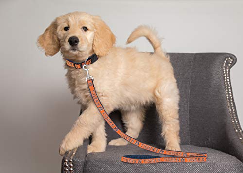 Pets First AU-3031-LG Ncaa Pet Leash, Large thumb #2