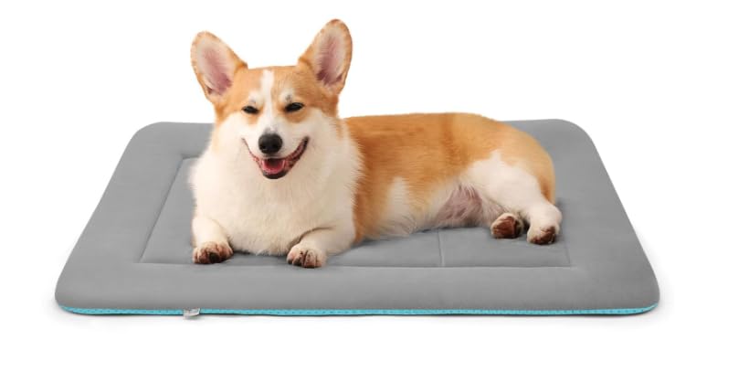 Dreamland Doggys Plush Dog Bed for Medium/Large Dogs - Soft Dog Crate Pad Dog Bed Mat, 36-Inch Washable Kennel Pad Pet Beds with Non-Slip Bottom, Light Grey M (B0CVW2P1ZY) Amazon Price History, Amazon Price Tracker