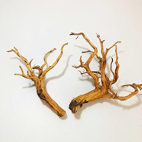 Amazon | Goldlife 流木 中 Mサイズ 2本セット スマトラウッド ...