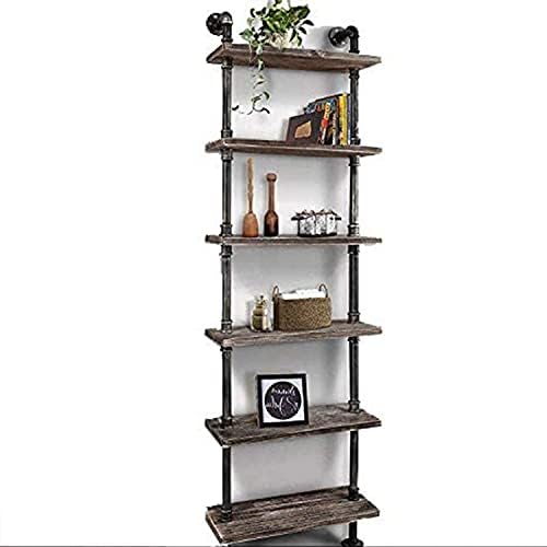 DOUNAYEE Industrial 6-Tiers Modern Ladder Pipe Shelf Bookcase,Corner Shelf,Vintage Iron Display Shelving,Decor Rack,Rustic Shelf,Storage Rack for Living Room,Kitchen,Home, Office