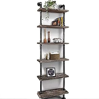 DOUNAYEE Industrial 6-Tiers Modern Ladder Pipe Shelf Bookcase,Corner Shelf,Vintage Iron Display Shelving,Decor Rack,Rustic Shelf,Storage Rack for Living Room,Kitchen,Home, Office