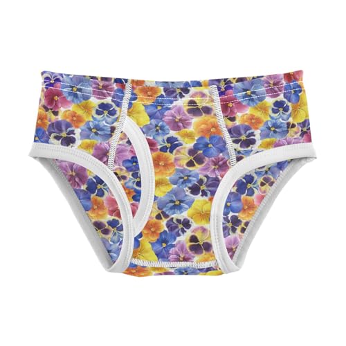 Boys' Exclusive Briefs Toddler Underwear 95% Combed Cotton Boxerbriefs 2T Floral Pattern 66