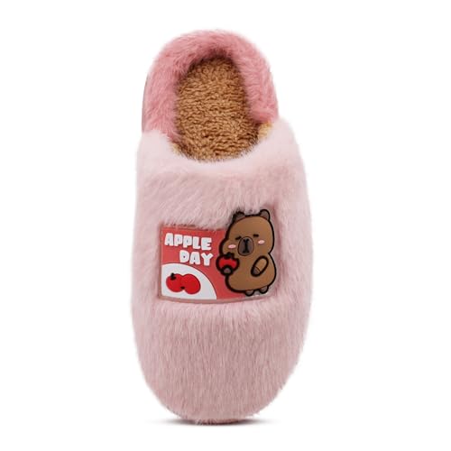 Image of VRITRAZ Women's Comfort Slip On Closed Toe Warm Winter with Cute Design print House Clog Indoor Slipper
