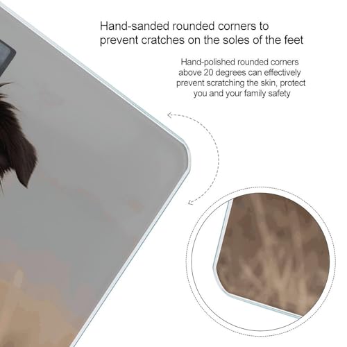 Báscula digital inteligente para baño Border Collie miniatura 4
