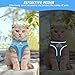 FINEASY Hundegeschirr mit Leine, Reflektierend, Hundegeschirr Kleine Hunde, Sicherheitsgeschirr Hund Ausbruchsicher, Brustgeschirr Hund, Geschirr für Haustiere, Katzen, Klein, Welpen (Blau, S)