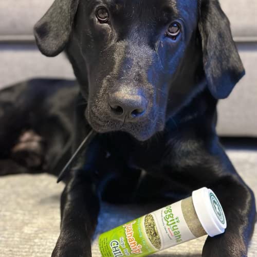 Image of Doggijuana Juananip Refill Bottle for Dogs, 2-Pack | Natural Calming Catnip | Organic ground calming catnip for dogs; natural aid for anxiety, storms & travel; grown in USA, refill for toys & beds