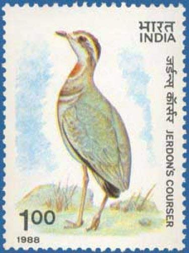 GenericIndia 1988 Wildlife Week Jerdon's Courser Bird Stamp Stampbazar