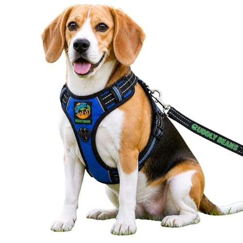 Image of Adjustable Padded Dog Harness with Leash, Blue, S (11-15 kg)