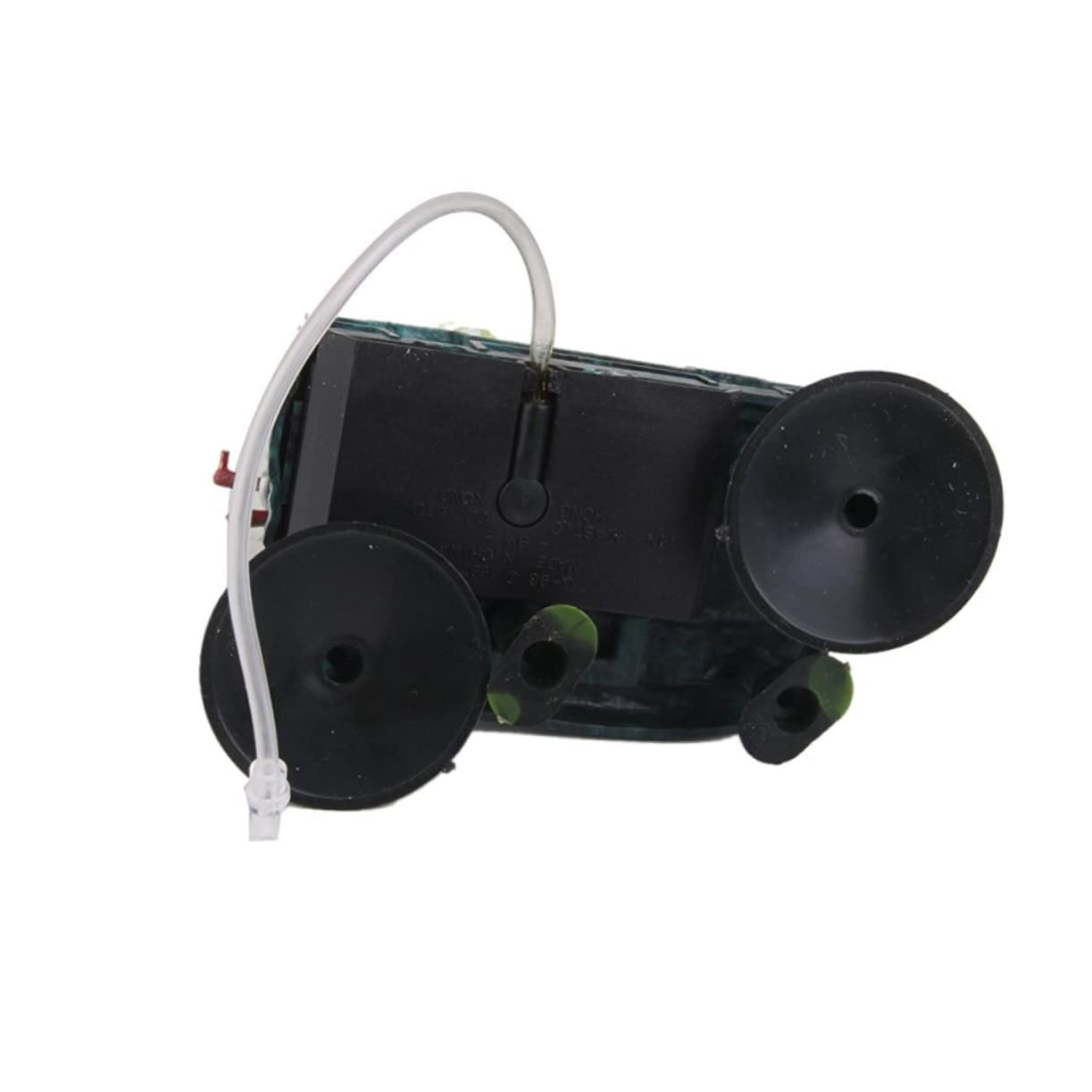 Toddmomy Lot De 3 Décorations Uniques pour Aquarium À Air Comprimé Ornements en Forme De Crâne De