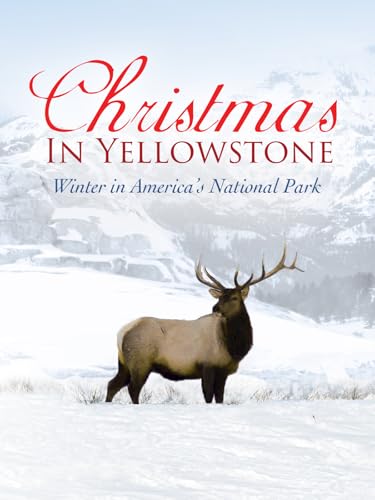 Christmas in Yellowstone