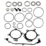 Dual Vanos Anti Rattle + O-Ring Seal Repair Kit Compatible with 1998-2006 BMW 330Ci X5 X3 325i 525i Z3 Z4