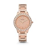 Illustrierte Fossil Sammler Blechdose (verschiedene Designs)