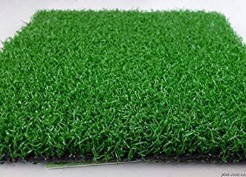 200 East India C. flexuosus ~ Lemon Grass Lemongrass Seeds ~ Used fresh or dried : Seeds Only