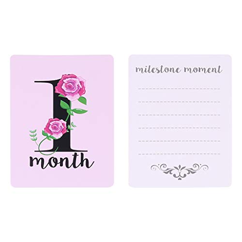 angwang Cartões fotográficos para marcos do bebê – Conjunto de 12 cartões fotográficos para captar m