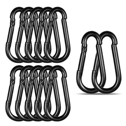 High-PQ Carabiner Clip,Heavy Duty Spring Snap Hook,4IN(M10),12PCS