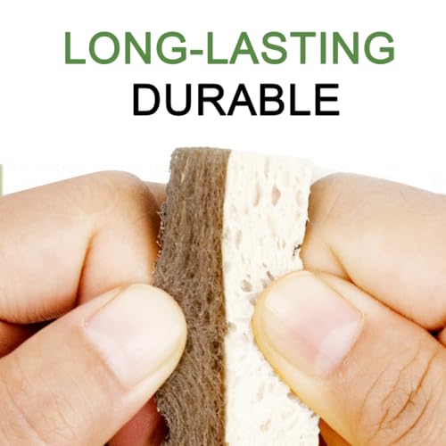 Image of CELOX 12 Pack Coconut Fiber Kitchen Cleaning Sponge, Dual-Sided Sponge for Dishwashing